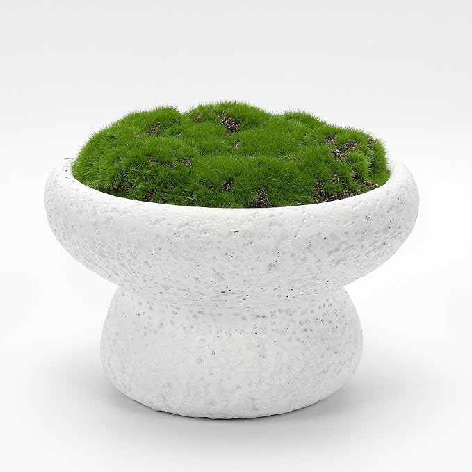 6'' Handmade Cement Bowl–Artificial Moss Centerpiece by NAHARO
