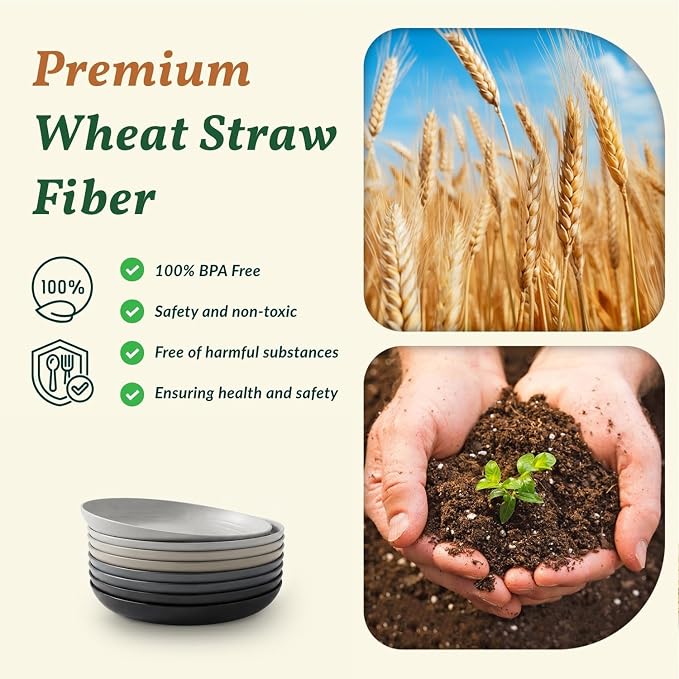 Deep Dinner Plates Set of 8 Alternative - Image 3
