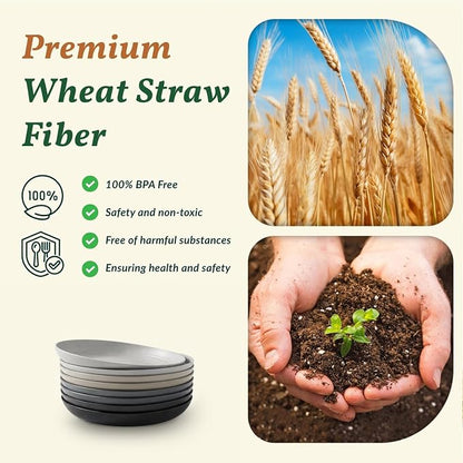 Deep Dinner Plates Set of 8 Alternative - Image 3