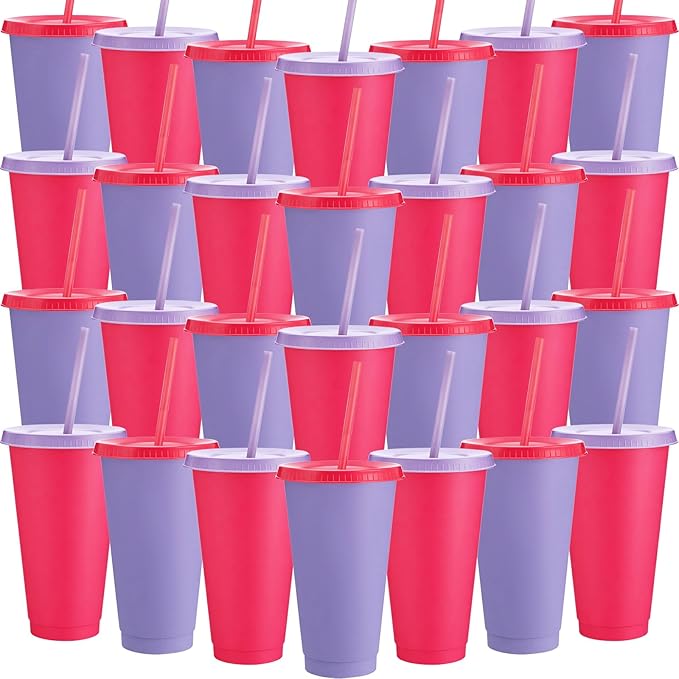 Honeydak 30 Pack Tumbler with Straw and Lid Bulk Cups by Honeydak