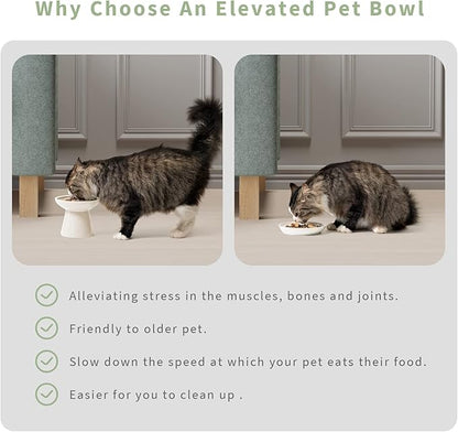 Extra Wide Elevated Ceramic Cat Water Bowl - 6.2" Deeper Dish for Whisker Fatigue Relief, 5" Height for Easy Feeding, Lead & Cadmium Free, Durable Raised Cat Bowls, White