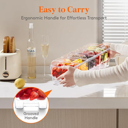Lifewit Chilled Condiment Caddy - Image 9