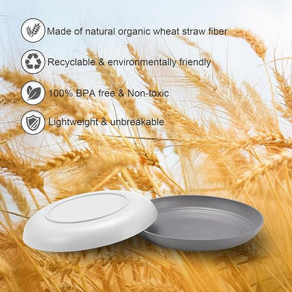 12 Pcs Unbreakable Deep Dinner Plates Set, 9 inch Reusable Plastic Wheat Straw Plates, Microwave and Dishwasher Safe Plate for Kitchen, Lightweight Plate for Dessert, BPA Free, Dark Gray