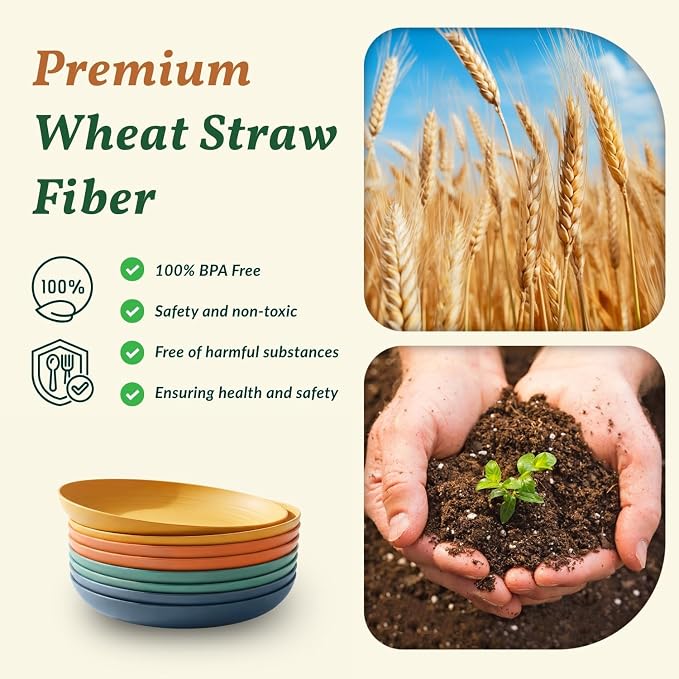 10 inch Wheat Straw Dinner Plates Set of 8 - Image 3