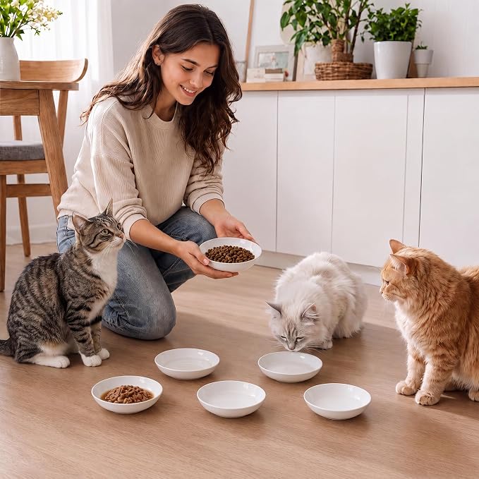 Ceramic Cat Dishes for Food - Image 6