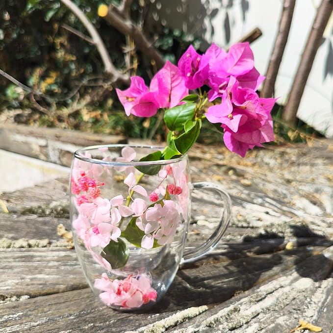 NBHUZEHUA Double Wall Glass Coffee Mugs Insulated Clear Espresso Cups - Image 5