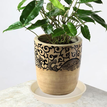 6 Pack Plant Saucer Water Drip Tray, 4 5 6 7 8 9 10 11 12 13 15 17 19 inch - Image 6