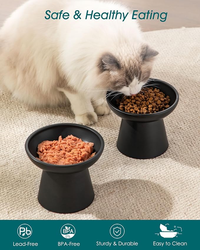 vancasso Elevated Cat Food Bowls 2-Pack, 6.2" Wide Shallow Cat Feeding Bowl - Image 3