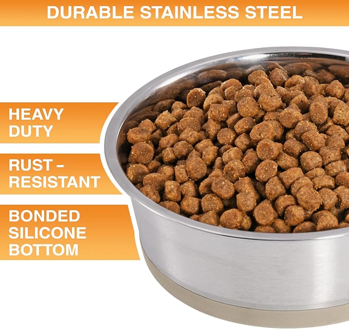 Neater Pet Brands Stainless Steel Dog Bowls - Image 2