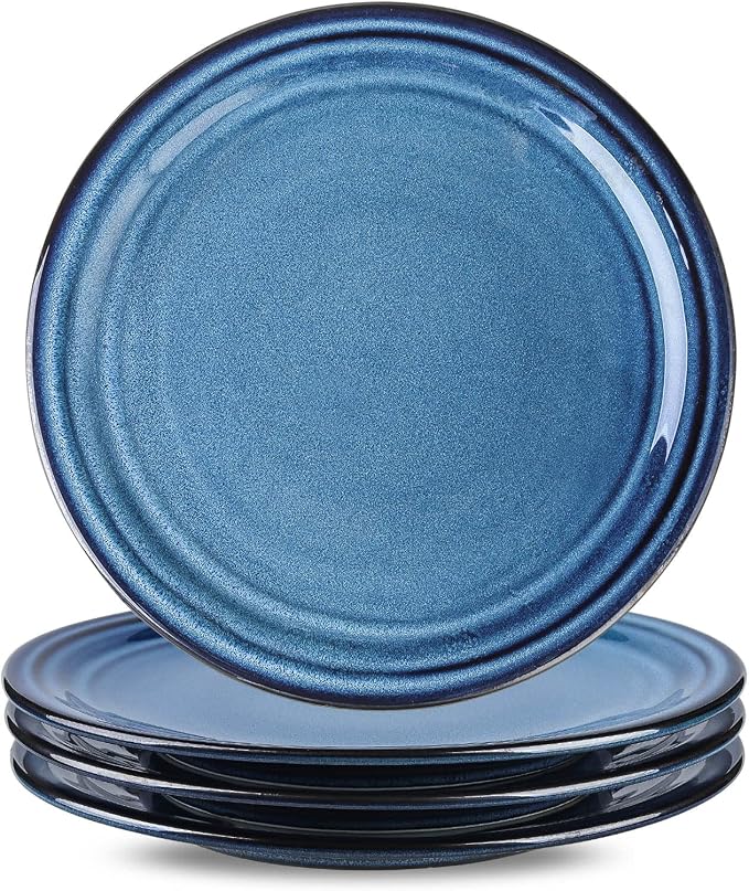 HASENSE Ceramic Dinner Plates Set of 4, 10 Inch Large Porcelain Pasta and Salad by Hasense
