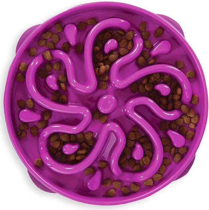 Outward Hound Fun Feeder Slo Bowl – Large 4‑Cup Capacity, Slow Feeding by OutwardHound