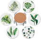 Coasters for Drinks Absorbent with Holder,Green Leaves Sets of 6 Durable Cup Coaster for Coffee Table Protection,Great Housewarming Birthday Gifts,Home Decor