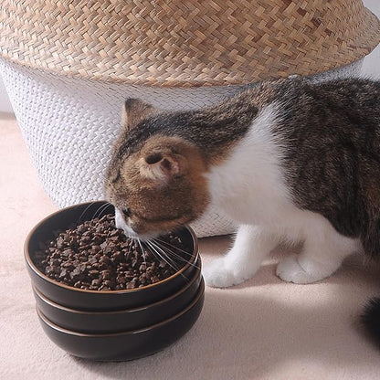 Ceramic Cat Bowls, Howise Pet Bowl Cat Dishes - Image 3