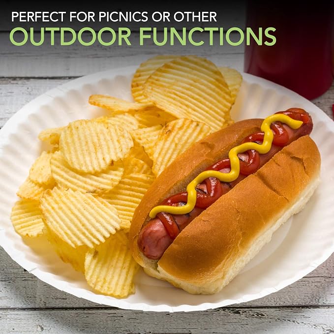Stock Your Home 9-Inch Paper Plates Uncoated, Everyday Disposable Plates 9" - Image 5