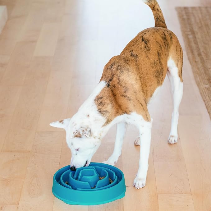 Outward Hound Fun Feeder Slo Bowl – Large 4‑Cup Capacity, Slow Feeding - Image 6