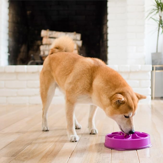 Outward Hound Fun Feeder Slo Bowl – Medium 2‑Cup Capacity, Slow Feeding - Image 6