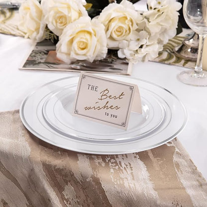 I00000 102pcs Silver Plastic Plates, Disposable Plastic Party Plates with White Silver Rim Fancy Wedding Party Plates Include 51 Dinner Plates 10.25" and 51 Dessert Appetizer Plates 7.5"