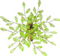 Napkin Rings Set of 12 for Dining Table Decoration Parties Everyday Metal Napkin Holder Leaf Green (Pack of 12)