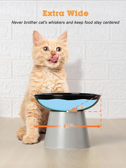 LoeJan Elevated Cat Food and Water Bowls Set, Extra Wide and Raised Ceramic - Image 3
