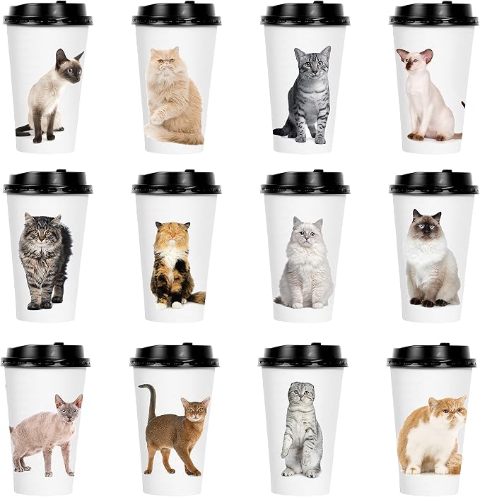 Youngever 72 Sets Disposable Coffee Cups by Youngever
