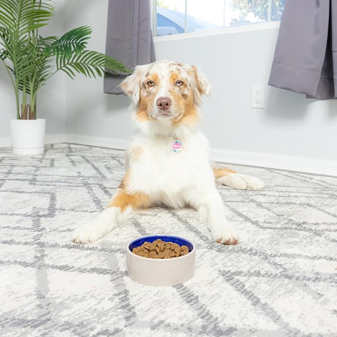 SPOT by Ethical Products – Ceramic Stoneware Pet Bowl - Image 7