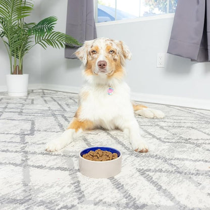 SPOT by Ethical Products – Ceramic Stoneware Pet Bowl - Image 7