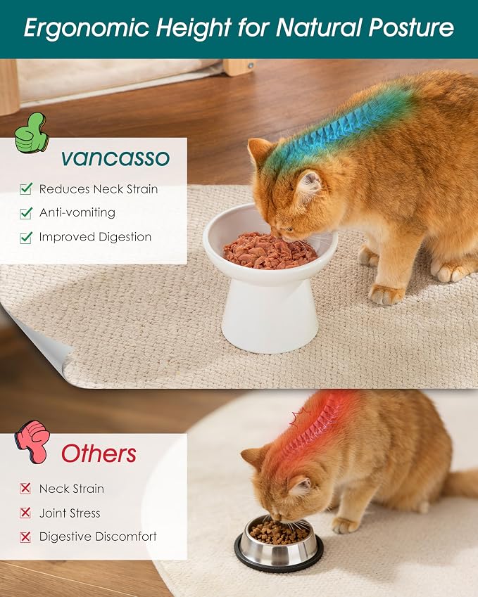 vancasso Elevated Cat Food Bowls 2-Pack, 6.2" Wide Shallow Cat Feeding Bowl - Image 5