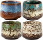 Japanese Tea Cups Set of 4pcs, 7oz/205ml Elegant Ceramic Matcha Cups by Unknown