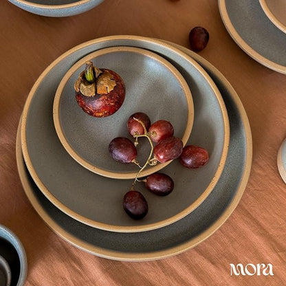 MORA Large Plates Set of 4, 10.5 inch Ceramic Pottery Dinner Plates - Microwave, Oven and Dishwasher Safe - Harvest