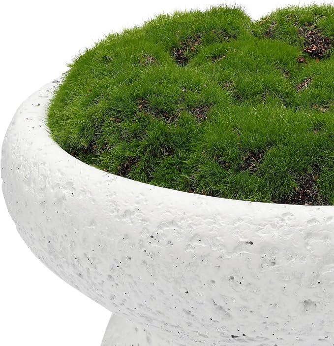 6'' Handmade Cement Bowl–Artificial Moss Centerpiece - Image 2