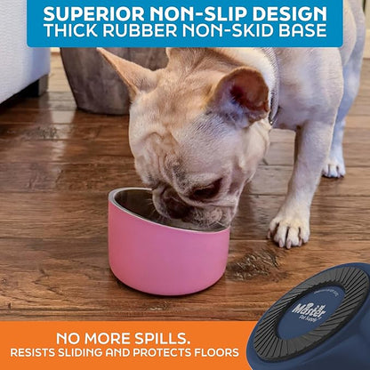 Master Pet Supply Stainless Steel Slanted Dog Cat Food Bowl - 8 oz Heavy Duty - Navy Blue, Double Wall Insulated, Non-Slip Elevated Bowl for French Bulldogs Pugs Cats, Anti Rust Dishwasher Safe
