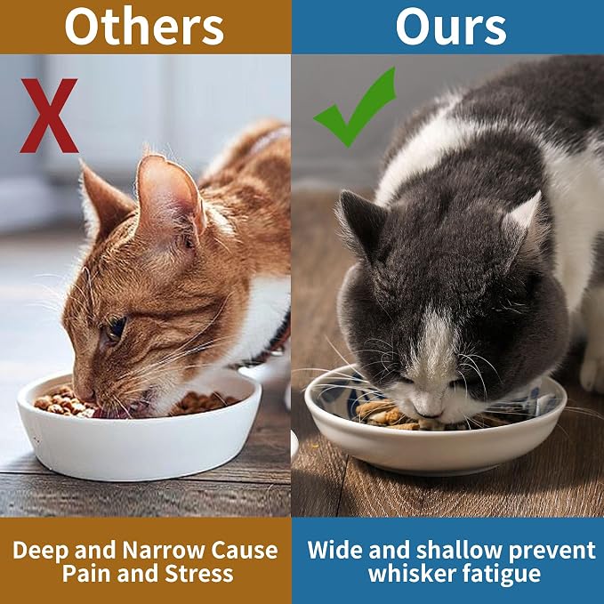 3 Ceramic Cat Bowls, 5.5 inch Wide Shallow Cat Food Bowl - Image 7
