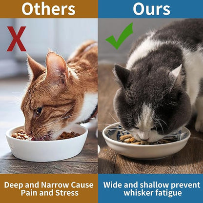 3 Ceramic Cat Bowls, 5.5 inch Wide Shallow Cat Food Bowl - Image 7