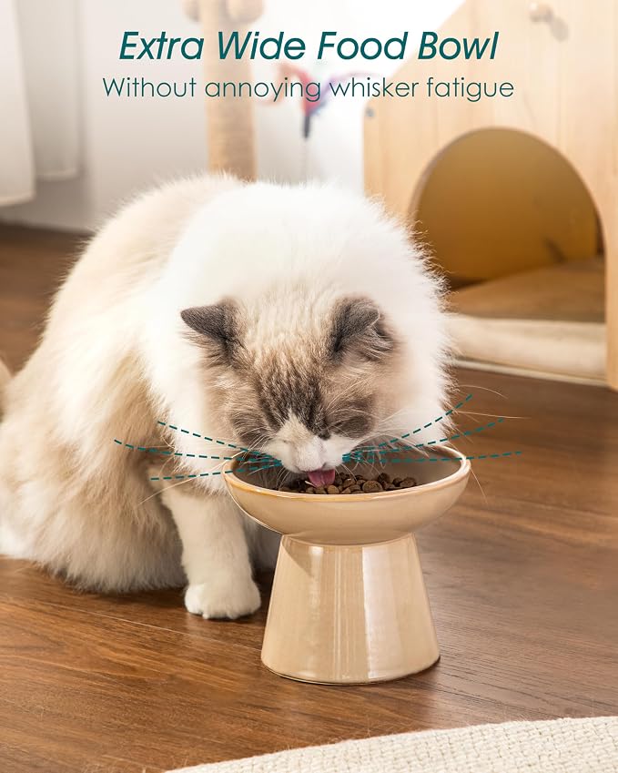 vancasso Elevated Cat Food Bowls 2-Pack, 6.2" Wide Shallow Cat Feeding Bowl - Image 4