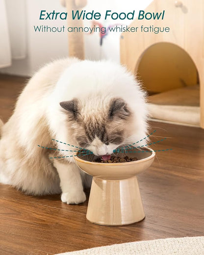vancasso Elevated Cat Food Bowls 2-Pack, 6.2" Wide Shallow Cat Feeding Bowl - Image 4