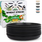 Grow Forward Premium Wheat Straw Plates by GrowForward