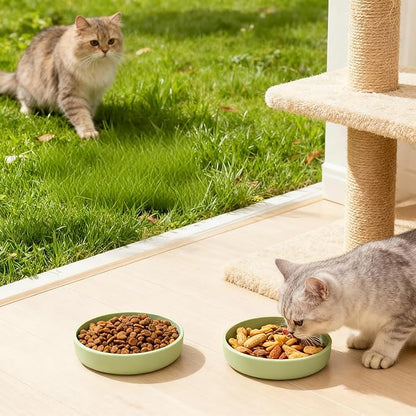 Silicone Cat Bowl Set of 2 Shallow Cat Dishes Small Non-Slip Pet Dog Bowls for Dry & Wet Food, Whisker Fatigue (Round Green)