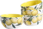 Bico Lemon Dreams Cereal Bowls Set of 4, 26 oz Deep Ceramic Soup Bowls by Bico