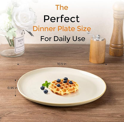 AmorArc Ceramic Dinner Plates Set of 6, 10.5 Inch Handmade Reactive Glaze Stoneware Plates, Rustic Shape Dinnerware Dish Set for Kitchen, Microwave & Dishwasher Safe, Scratch Resistant
