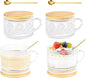 Glass Coffee Mugs with Lid 14 oz Clear Coffee Cups with Handle Spoon | Vintage by ICESIP