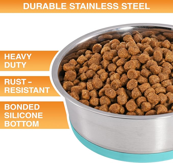 Neater Pet Brands Stainless Steel Dog Bowls - Image 2