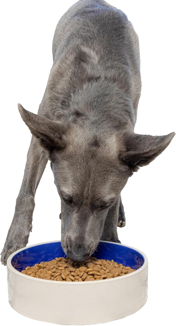 SPOT Standard Crock Dish by SPOT