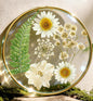 Oqplog Resin Drink Coaster for Desk Coffee Table-White Cute Dried Flowers Cup by Oqplog