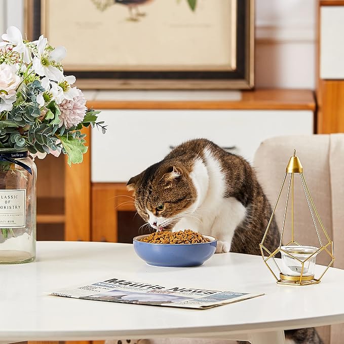 5.19 in Ceramic Cat Dishes, Howise Shallow Cat Food Bowls Small Pet Bowls Cat - Image 3