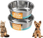 Neater Pet Brands Stainless Steel Dog Bowls with Non-Slip Rubber Bottom – 3 Cup (24 oz), Teal - Set of 2 Heavy Duty Metal Dog Bowls, Dishwasher Safe, Food or Water Bowl, Ideal for Small to Medium Dogs