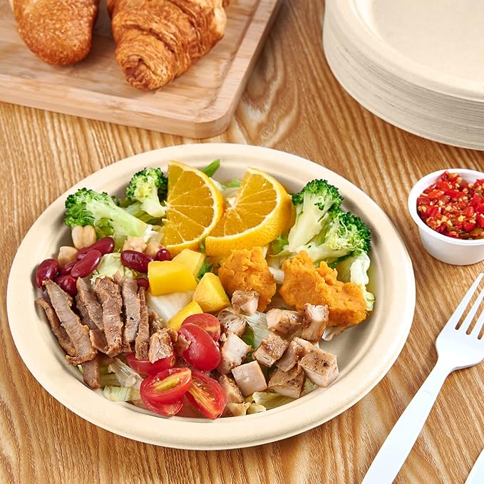 Vplus 500 Pack Paper Plates 9 inch 100% Compostable, Heavy-Duty Disposable Paper Plates Bagasse Natural Biodegradable Eco-Friendly Sugarcane（Nature）