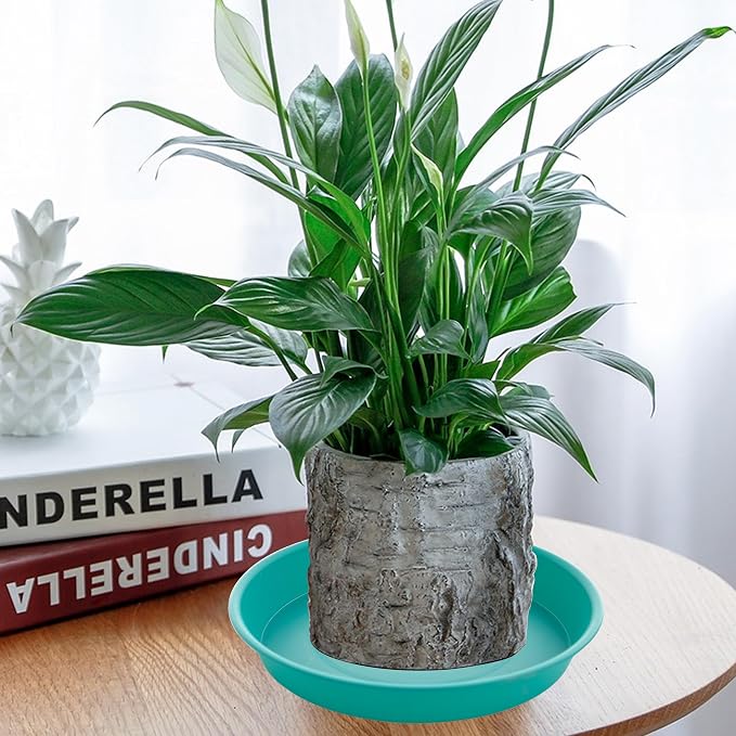 2 Pack of 8 inch Plant Saucer Clear, Heavy Duty Plastic Plant Water Tray 8 inch - Image 3