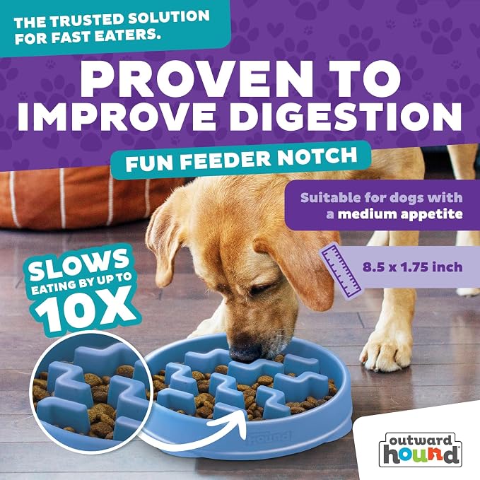 Outward Hound Fun Feeder Slo Bowl – 2‑Cup Capacity, Slow Feeding, Small to - Image 3