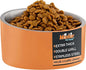 Master Pet Supply Stainless Steel Slanted Dog Cat Food Bowl - 24 oz Heavy Duty - Mango Tango, Double Wall Insulated, Non-Slip Elevated Bowl for French Bulldogs Pugs Cats, Anti Rust Dishwasher Safe