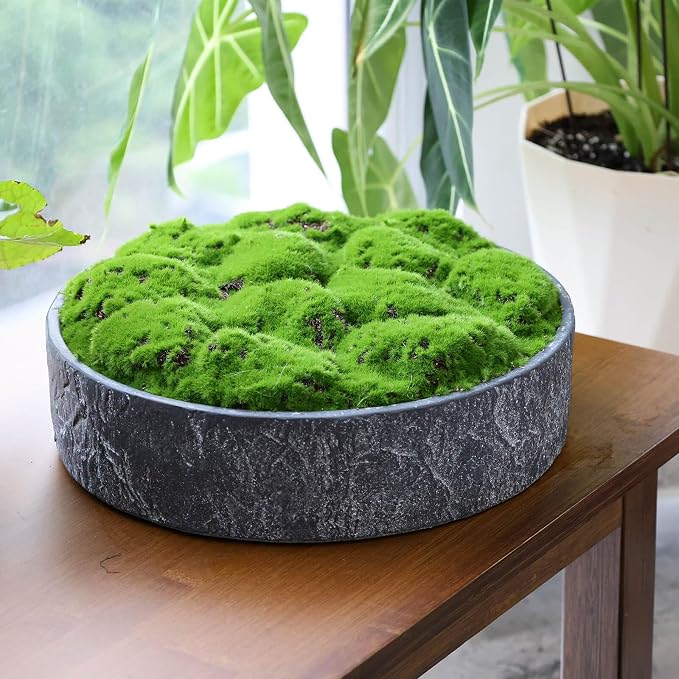NAHARO New Moss Bowl, Living Room, or Coffee Table Display - Image 4